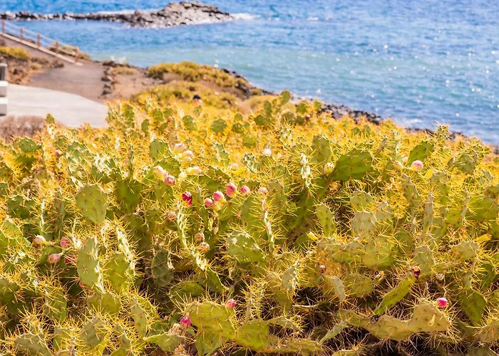 펜션 La Platanera By Vive La Exclusividad *