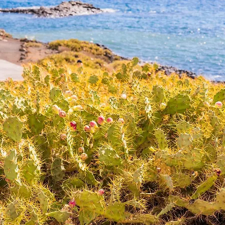 Hébergement de vacances La Platanera By Vive La Exclusividad *