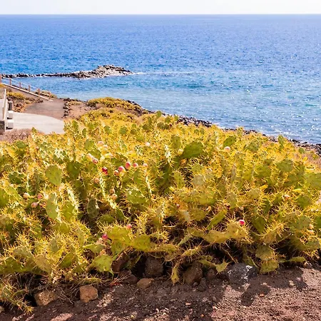 La Platanera By Vive La Exclusividad * San Miguel de Abona