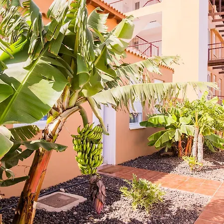 Hébergement de vacances La Platanera By Vive La Exclusividad *